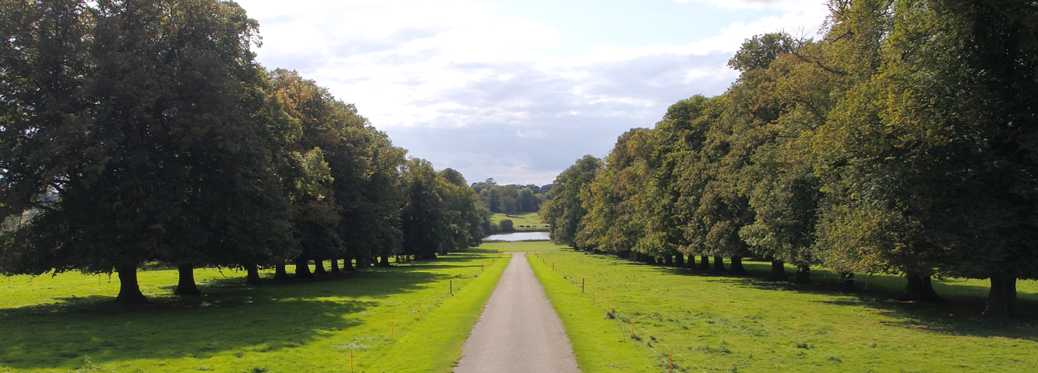 Raynham Parkland